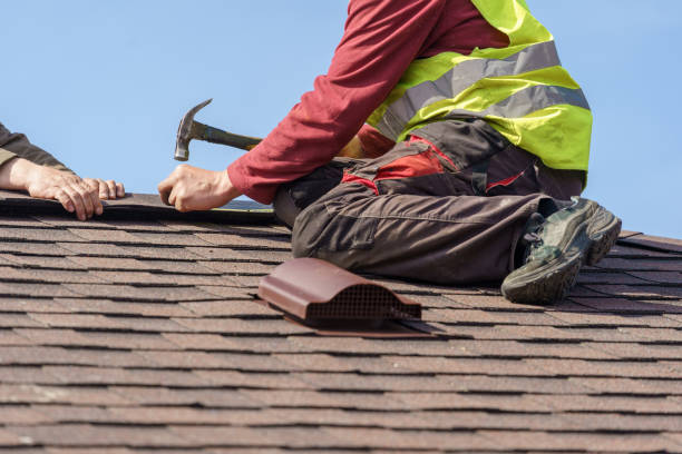 Best Gutter Installation and Roofing  in Dunbar, SC