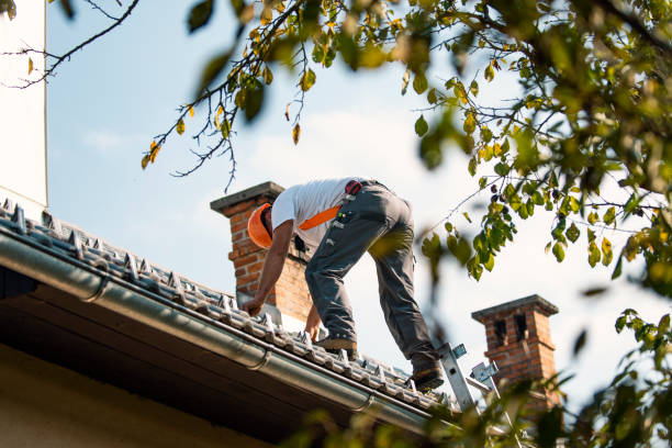 Best Roof Gutter Cleaning  in Dunbar, SC