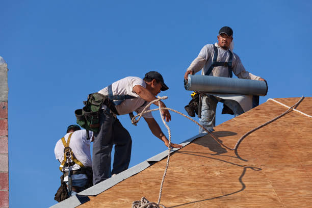 Best Roof Leak Repair  in Dunbar, SC