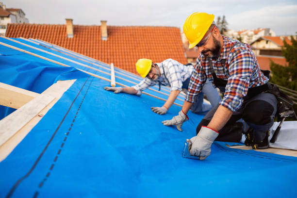 Quick and Trustworthy Emergency Roof Repair Services in Dunbar, SC