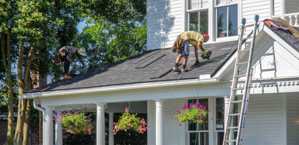 Best Storm Damage Roof Repair  in Dunbar, SC